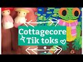 Cottagecore tik tok complimation for goblins