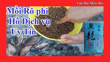 Bài Mồi Rô Phi Hồ Dịch Vụ Đơn Giản - Uy Tín - Hiệu Quả | Câu Đài Miền Bắc