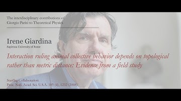 Irene Giardina - Interaction ruling animal collective behavior depends on topological distance