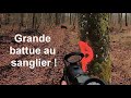 Chasse : Grande battue au sanglier !