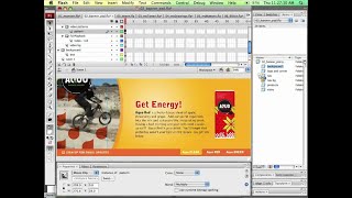 Famous 2008 | Adobe Flash Professional CS3 | Live Demo Wealth