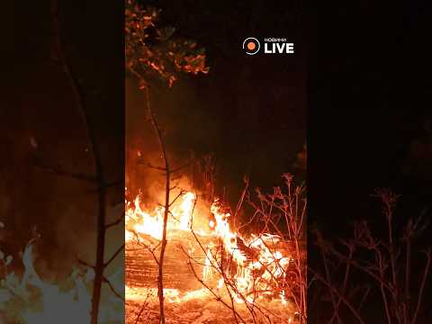 😨😨😨Вогняна катастрофа: понад 15 тисяч гектарів згоріло у Франції