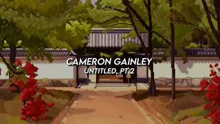 cameron gainley - untitled, pt.2