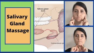 Salivary Gland Mage Parotid And Submandibular