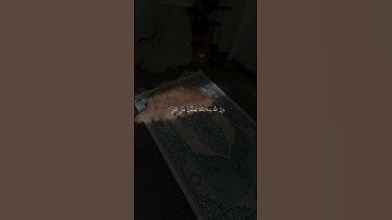 تلاوة القران الكربم 2024 QURAN(لاتنسي ان تتابعنا للمزيدSUBSCRIBE)