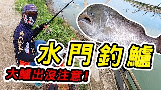 【江哥愛釣魚】聽說這個海邊水門有鱸出沒！釣友都來這裡登鱸 ... 