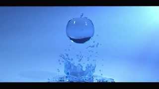 Realflow morph