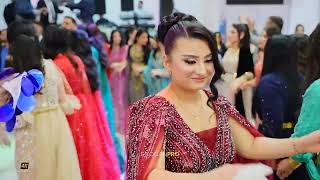 IMAD SELIM / Sefko & Lehat / Part04 / Kurdische Hochzeit by #DilocanPro