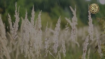 الشيخ عبد الباسط عبدالصمد سورة  الهمزة   Sheikh Abdul Basit Abdul Samad Surah al Humazah