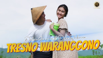 DELVA IRAWAN Ft. DIKE SABRINA - TRESNO WARANGGONO ( Official Music Video )