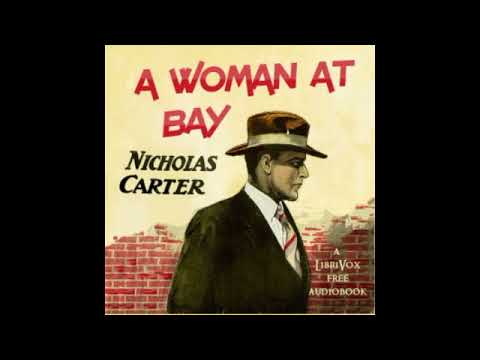 A Woman at Bay - Audiobook