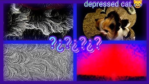 Random Programming Projects (Android Processing APDE)