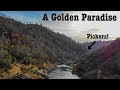 Gold Found With Garret AT Gold! Pickers And More!