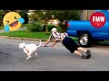 Funny  hilarious peoples life  48  try not to laugh  funny fails compilation 2024