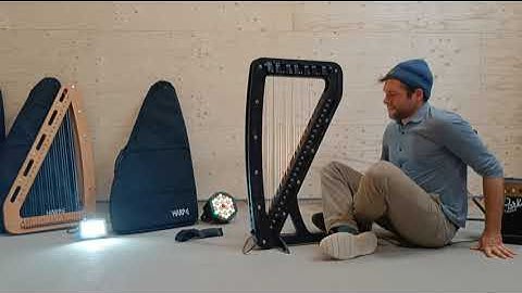 Harp-E Basics: Playing Positions
