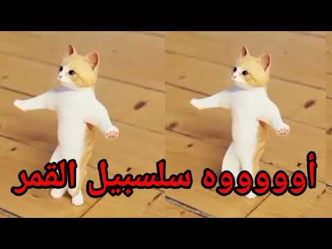 اغنية اسم سلسبيل القمر احلى البنات سطلانة السعودية الامارات المغرب قطر تركيا دبي العراق الاردن جده