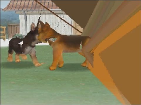 Videó: Nintendogs Egyesült Királyságban Kelt