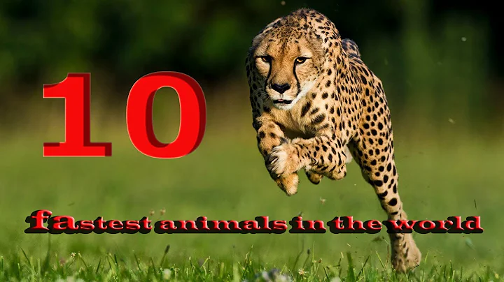 10 fastest animals in the world