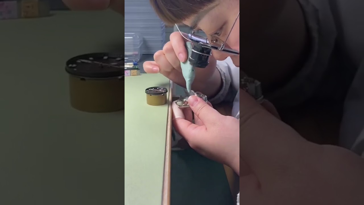 Sea-Gull Dive Watch 300M. Ocean Star Pro. Ref. 816.72.1210  海鸥潜水表300米  海洋之星Pro