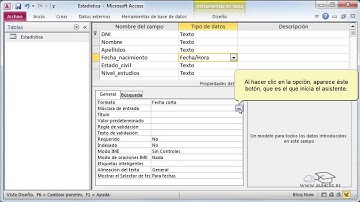 Computación 2 - Curso de Access 2010 - Video  5.1 - Formato y máscara