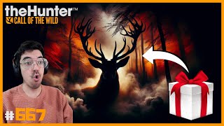 SUSCRIPTORA ME REGALA UN ANIMAL QUE SIEMPRE QUISE TENER :') | 🦌theHunter: CotW #667