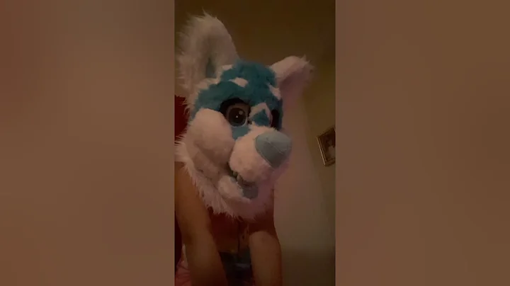 My first fursuit video