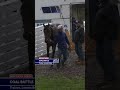 Coal Battle Arrival