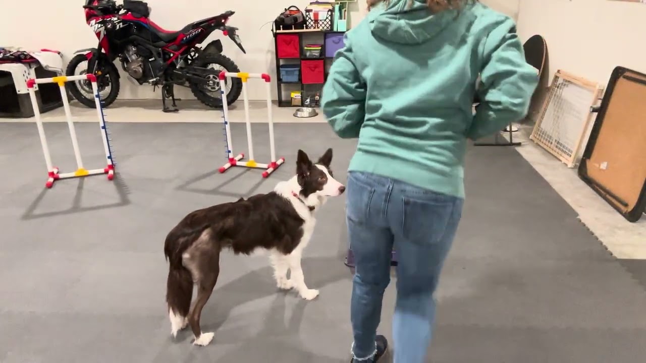 Week 8, second set #1. 