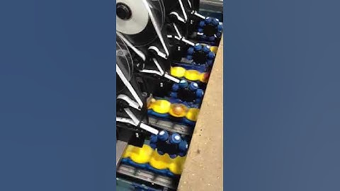 WDP Fruits - Hadran inline labeling for Lemons