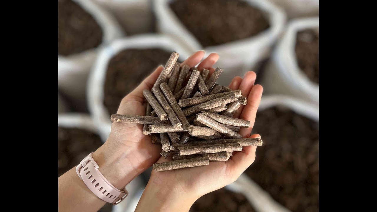 Wood Pellet Production Process