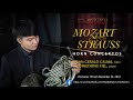 Capture de la vidéo The Horn. Mozart & R. Strauss Horn Concertos With John Gerald Calma, Horn And Dingdong Fiel, Piano.