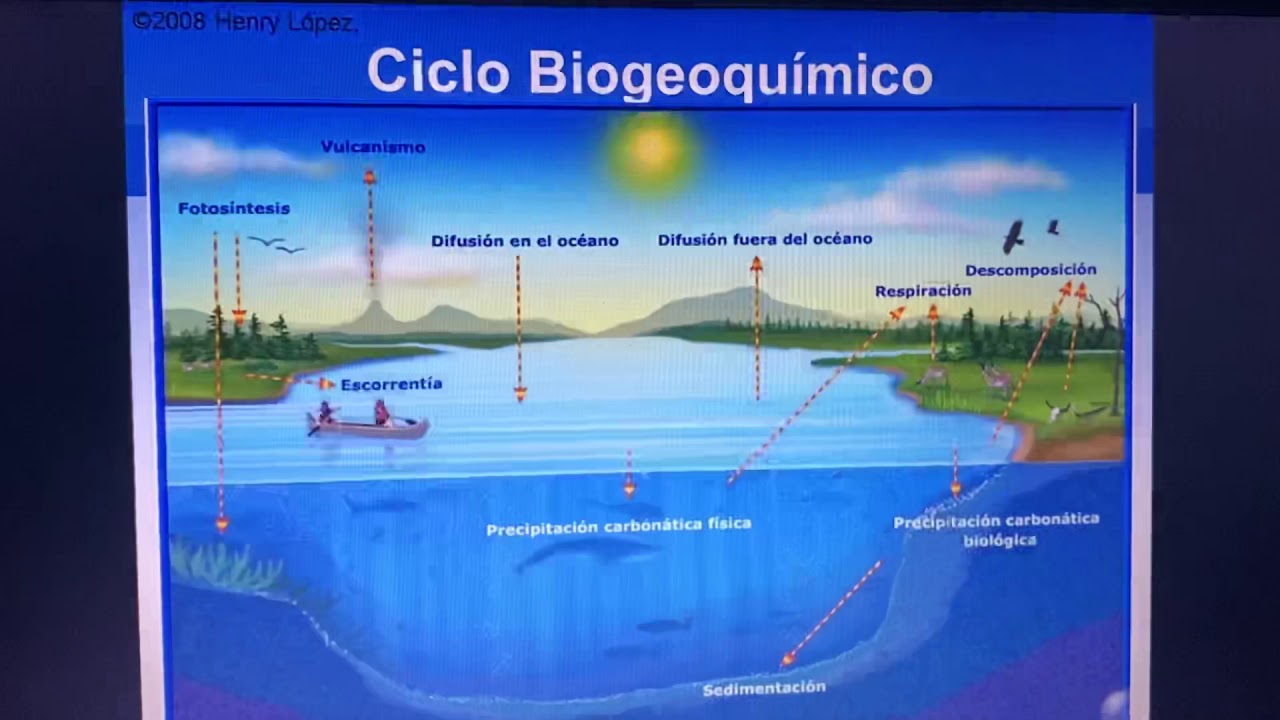 Ciclos Biogeoquimicos Youtube