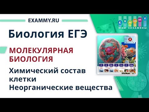 Неорганические вещества видеоурок