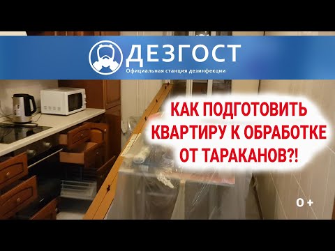 Как подготовить квартиру к обработке от тараканов. ДезГОСТ.