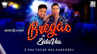 Se A Dinalva Não Voltar - Bregão Do Zé Da Vea Vol - 1
