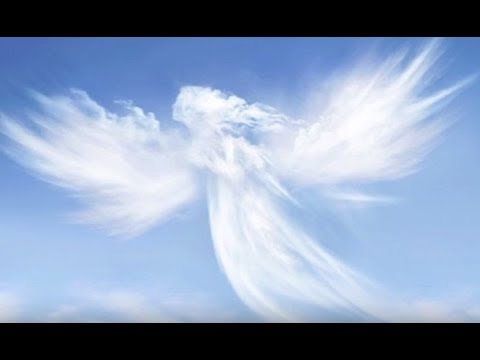 animals communicating with humans Top 5 Sure Signs Of Angels Communicating With You | Viral Feed