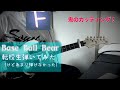 BaseBallBear 転校生 Guitar Cover(小出パート)