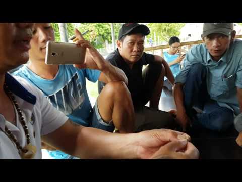 Video Cách tóm thẻo, cột thẻo cho loại dùng vòng cao su giảm... - youtube