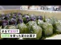 【和菓子づくり】吉野本葛の滑らかな口どけ #10葛万寿