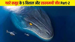 गहरे समुद्र के 5 विशाल और रहस्यमयी जीव | Huge And Mysterious Creatures of The Deep Sea | Part 2