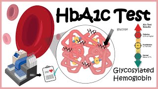 HbA1c Test ( Glycosylation of haemoglobin) | Diabetes screenshot 4