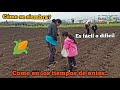 ¿Cómo se siembra el maíz? 🌽 🚜 | Alimento esencial de los Kichwas.