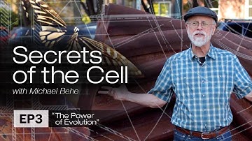 Bugs with Gears (Secrets of the Cell with Michael Behe, Ep. 3)