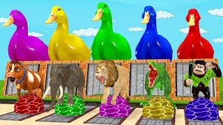 5 Giant Duck, Monkey, Piglet, chicken, dog, elephant, cow, Sheep, Transfiguration funny animal 2023