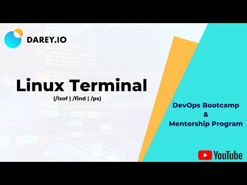 20. Linux Terminal