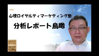 その17 分析レポート鳥瞰