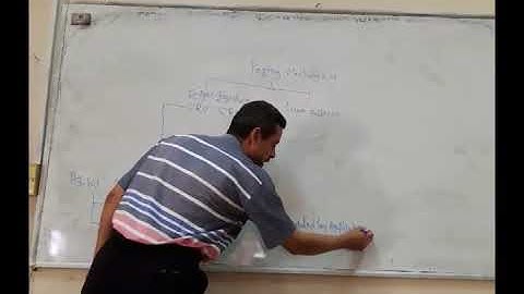 (Lecture 1-5: in Arabic): paging mechanism