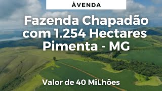 FAZENDA CHAPADÃO COM DUPLA APTIDÃO LAVOURA E PECUÁRIA EM PIMENTA E GUAPÉ NA REPRESA DE FURNAS MG