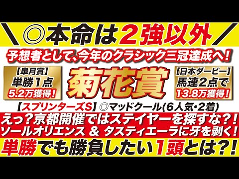菊花賞 2023【予想】えっ？京都開催ではステイヤーを探すな？！ソールオリエンス & タスティエーラに牙を剥く！単勝でも勝負したい１頭とは？！