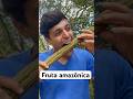 Fruta Amazônica #amazonas #natureza
